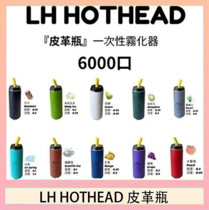 LH HOTHEAD皮革瓶電子煙可充電6000口一次性